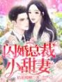 闪婚总裁小甜妻