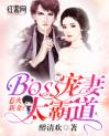 惹火新妻：BOSS宠妻太霸道