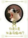 「快穿」你是不是外面有猫啦？