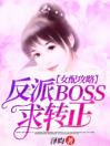 女配攻略：反派BOSS，求转正