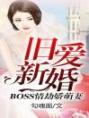 旧爱新婚：Boss情劫娇萌妻