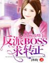 女配攻略：反派BOSS，求转正！