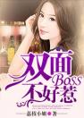 双面BOSS不好惹