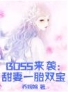 BOSS来袭甜妻一胎双宝