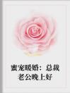 蜜宠暖婚：总裁老公晚上好