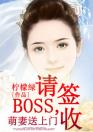 萌妻送上门：BOSS，请签收